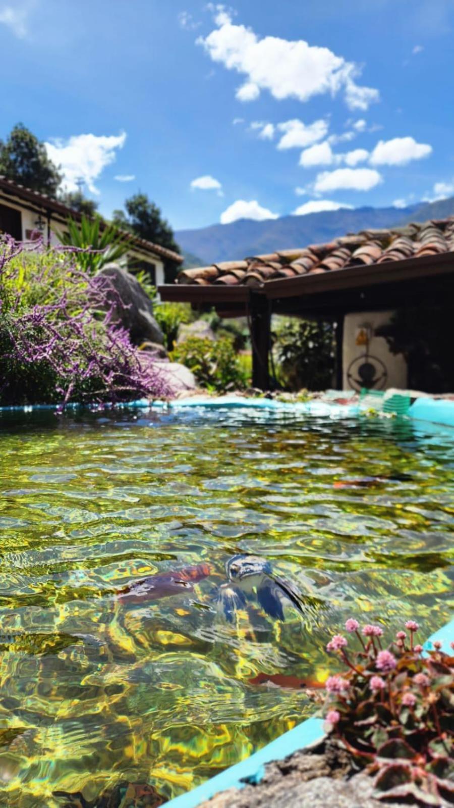 Estancia La Canada 梅里达 外观 照片